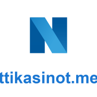 nettikasinotmedia-logo.png