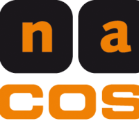 nanocosmos Logo