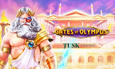 A passionate player from South Africa secured an astonishing R189,000 from a mere R100 bet on the renowned casino slot game, Gate of Olympus. This remarkable achievement underscores the high-stakes excitement that Tusk Casino offers to its players.