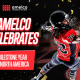 Amelco celebrates milestone year in North America