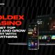 Goldex Casino by N1 Partners: a new brand tailored for top GEOs